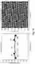 Fig. 30 - Two-dimensional planar and crossover-free beamforming network architecture