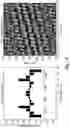 Fig. 32 - Two-dimensional planar and crossover-free beamforming network architecture