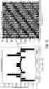 Fig. 33 - Two-dimensional planar and crossover-free beamforming network architecture