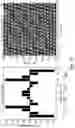Fig. 34 - Two-dimensional planar and crossover-free beamforming network architecture
