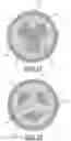 Fig. 06 - SPARK PLUG ELECTRODE AND METHOD OF MANUFACTURING THE SAME