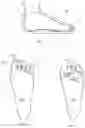 Fig. 03 - Apparatus and related methods of increasing foot propulsion