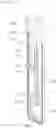 Fig. 14 - Drying apparatus