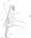 Fig. 02 - Wireless scanning device