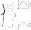 Fig. 09 - Systems and methods for OCT-guided treatment of a patient