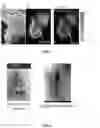 Fig. 07 - Modular system for multi-modal imaging and analysis