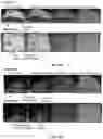 Fig. 09 - Modular system for multi-modal imaging and analysis