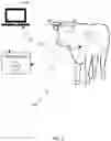 Fig. 06 - MEASURING PHYSIOLOGICAL MOTION USING FMCW RADAR