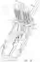 Fig. 08 - MANUALLY DRIVEN SURGICAL CUTTING AND FASTENING INSTRUMENT