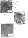 Fig. 03 - Porous composite biomaterials and related methods