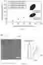 Fig. 04 - Porous composite biomaterials and related methods
