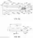 Fig. 41 - Soft tissue repair system