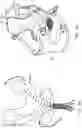 Fig. 15 - DYNAMIC SUPPORT APPARATUS