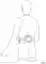 Fig. 03 - Lumbar Support Belt