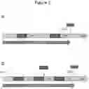 Fig. 02 - Composition for preventing or reducing transepidermal water loss and improving skin barrier function