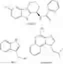 Fig. 04 - Nucleotide Analogs