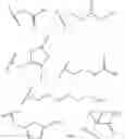 Fig. 09 - Nucleotide Analogs