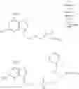 Fig. 232 - Nucleotide Analogs