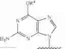 Fig. 296 - Nucleotide Analogs