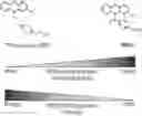 Fig. 01 - COMPOSITIONS AND METHODS OF TREATING CANCERS BY ADMINISTERING A PHENOTHIAZINE-RELATED DRUG THAT ACTIVATES PROTEIN PHOSPHATASE 2A (PP2A) WITH REDUCED INHIBITORY ACTIVITY TARGETED TO THE DOPAMINE D2 RECEPTOR AND ACCOMPANYING TOXICITY