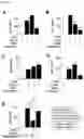 Fig. 02 - PHARMACEUTICAL COMPOSITION CONTAINING PROTEIN KINASE C ACTIVATOR-TREATED STEM CELLS OR CULTURE THEREOF FOR PREVENTING OR TREATING AUTOIMMUNE DISEASES
