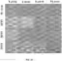 Fig. 45 - METHOD AND COMPOSITIONS FOR THE USE OF BOTANICAL EXTRACTS IN THE TREATMENT OF VIRAL INFECTIONS