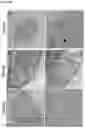Fig. 49 - Methods for Modulating Macrophage Activity
