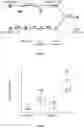 Fig. 04 - LIPONUCLEOTIDE-BASED THERAPY FOR COPD