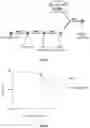 Fig. 06 - LIPONUCLEOTIDE-BASED THERAPY FOR COPD