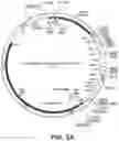 Fig. 03 - Compositions and Methods for Correction of Heritable Ocular Disease