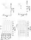 Fig. 02 - SUBSTITUTED ORGANOFLUOROBORATES AS IMAGING AGENTS