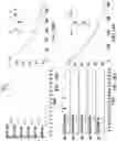 Fig. 09 - SUBSTITUTED ORGANOFLUOROBORATES AS IMAGING AGENTS