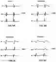 Fig. 06 - IMPLANTABLE MEDICAL DEVICE WITH PACING CAPTURE CLASSIFICATION