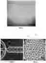Fig. 02 - Methods and apparatuses for purification of gel droplets supporting biological tissue