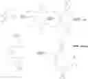 Fig. 01 - Monovalent Selective Cation Exchange Membrane