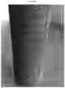 Fig. 03 - EVAPORATIVE LOSS CONTROL DEVICE