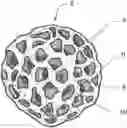 Fig. 01 - 