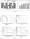 Fig. 02 - PROCESS FOR PRODUCING NANOSTRUCTURED MATERIAL, PRODUCT AND USE