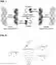 Fig. 02 - Enantiomerically enriched, polycrystalline molecular sieves