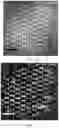 Fig. 09 - Single atom catalyst and method of forming the same