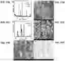 Fig. 25 - REACTION SCHEMES INVOLVING ACIDS AND BASES; REACTORS COMPRISING SPATIALLY VARYING CHEMICAL COMPOSITION GRADIENTS; AND ASSOCIATED SYSTEMS AND METHODS