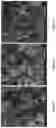 Fig. 02 - Particles of fertilizers encapsulated in modified chitosan and obtaining method