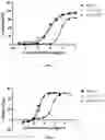 Fig. 07 - Anti-CD20 antibody