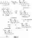 Fig. 02 - Method for producing a plastic object with embedded quaternary salts