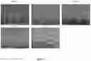 Fig. 02 - Cleaning compositions