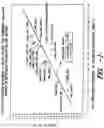Fig. 02 - Whitening agents for cellulosic substrates