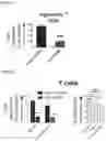 Fig. 07 - DELIVERY OF BIOMOLECULES TO IMMUNE CELLS