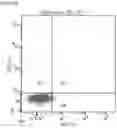 Fig. 24 - DELIVERY OF BIOMOLECULES TO IMMUNE CELLS