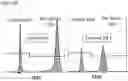Fig. 29 - DELIVERY OF BIOMOLECULES TO IMMUNE CELLS
