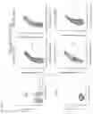 Fig. 37 - DELIVERY OF BIOMOLECULES TO IMMUNE CELLS